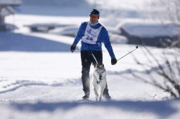 Lenk 2013